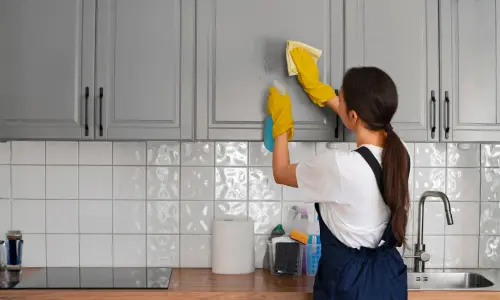 Kitchen cleaning Services